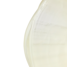 Load image into Gallery viewer, Shape Vixen Volumising Lotion