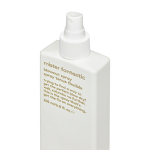 Load image into Gallery viewer, Mister Fantastic Blowout Spray
